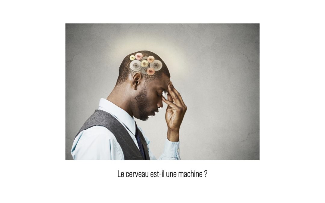 Une intelligence synthétique est-elle la copie des mécanisme cérébraux humain ?